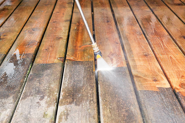 Reliable Trent Woods, NC Pressure washing Solutions